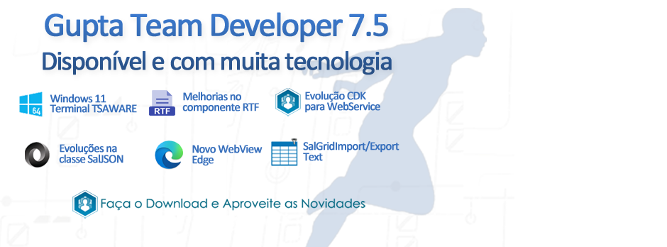 Team Developer 7.5