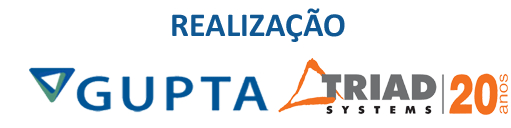 Realizao Gupta Technologies e Triad Systems